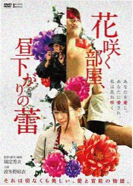 悬疑推理剧日语原声字幕解析